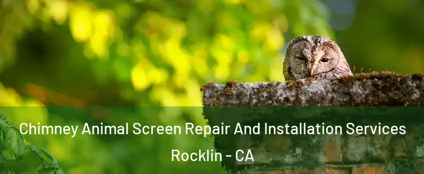  Chimney Animal Screen Repair And Installation Services Rocklin - CA