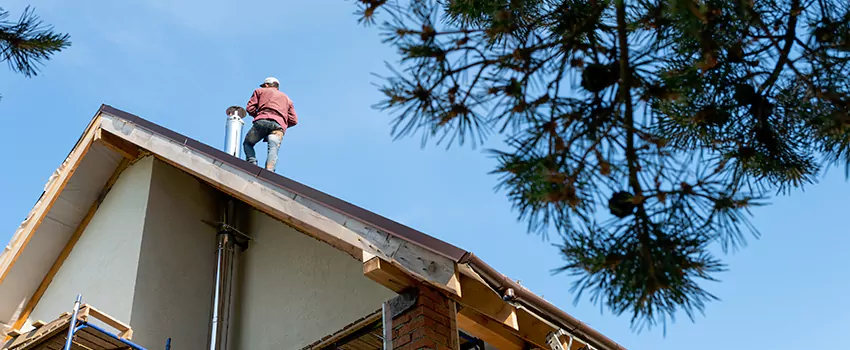 Birds Removal Contractors from Chimney in Rocklin, CA